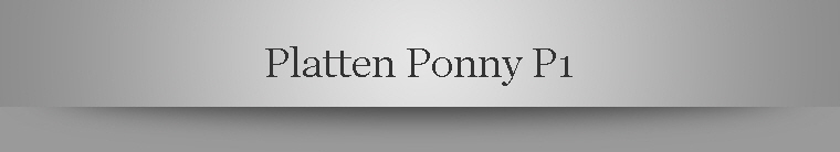 Platten Ponny P1